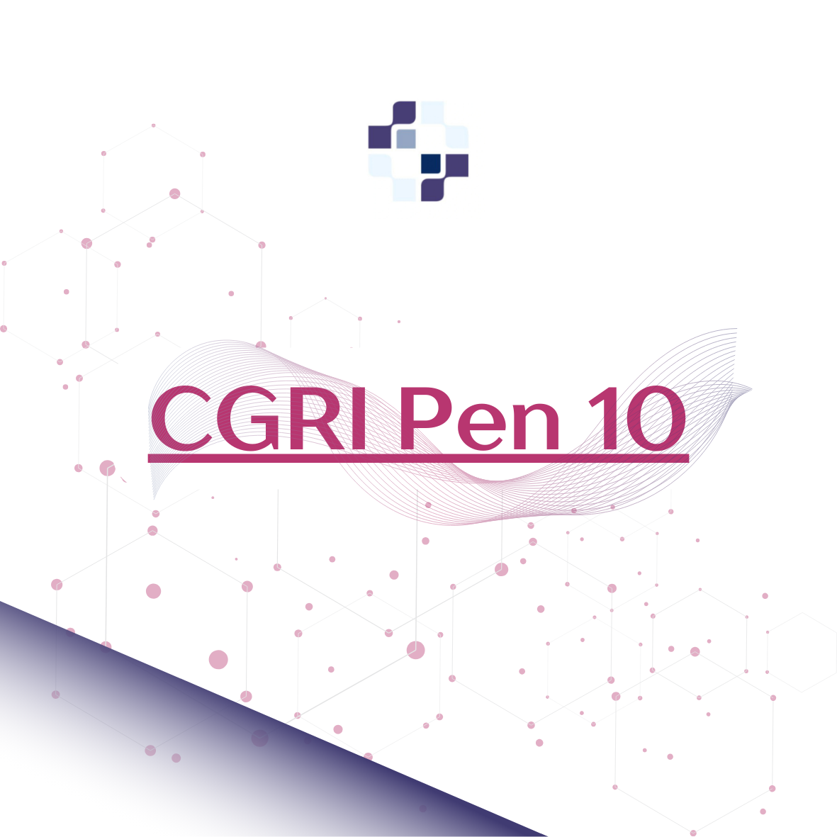 CGRI Slim-pen 10